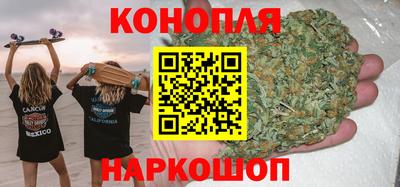 шишки Тулун