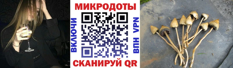 Галлюциногенные грибы GOLDEN TEACHER  hydra зеркало  Копейск  магазин продажи  