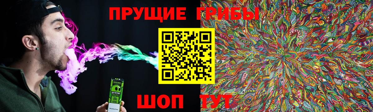 Галлюциногенные грибы GOLDEN TEACHER  Галлюциногенные грибы ЛСД  Вход с VPN  где можно купить   Копейск 