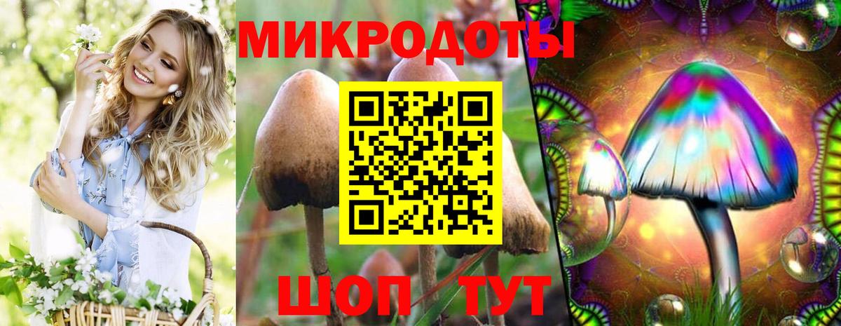 Псилоцибиновые грибы Magic Shrooms Копейск